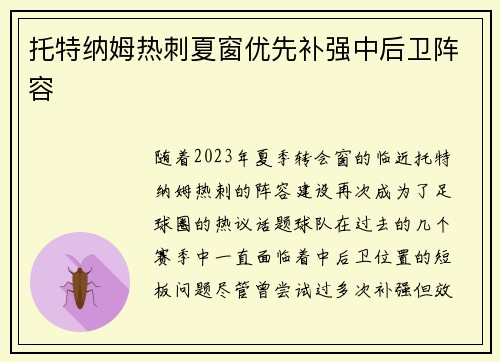 托特纳姆热刺夏窗优先补强中后卫阵容 托特纳姆热刺夏窗优先补强中后卫阵容